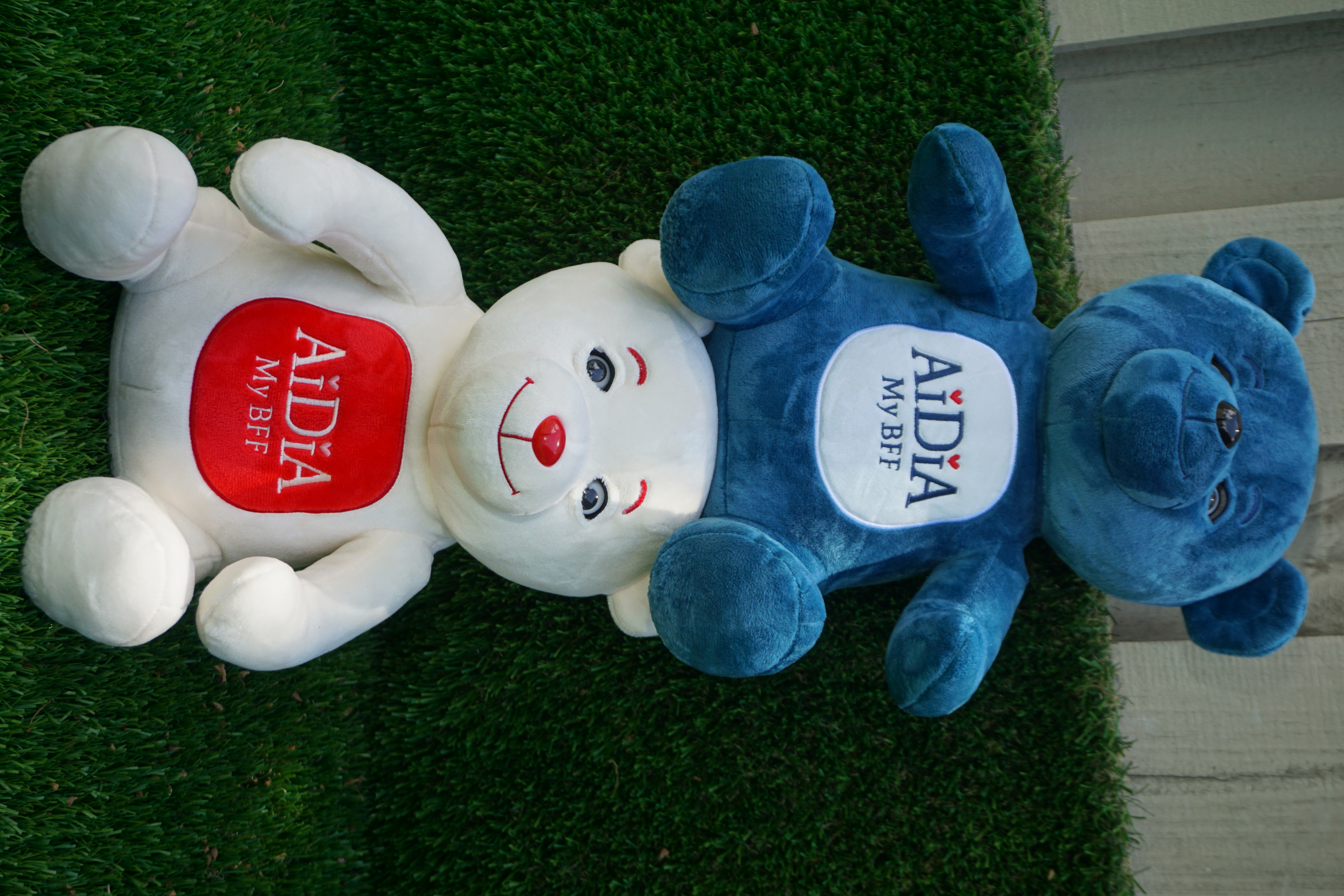 Together Bears